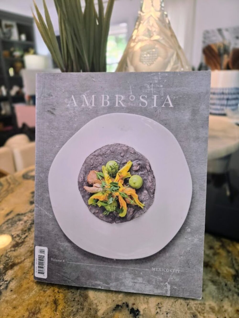 Ambrosia Culinary Magazine Vol 4 Mexico City RARE OOP New
